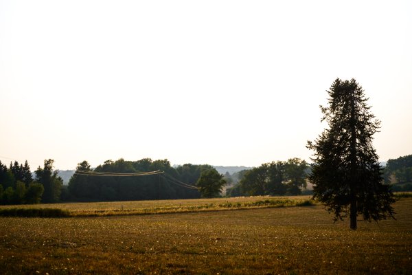 Photo 010
